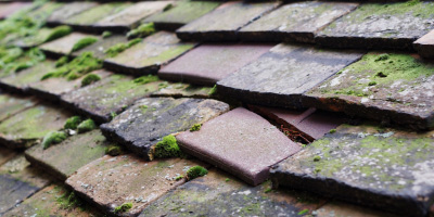 Shipham roof repair costs
